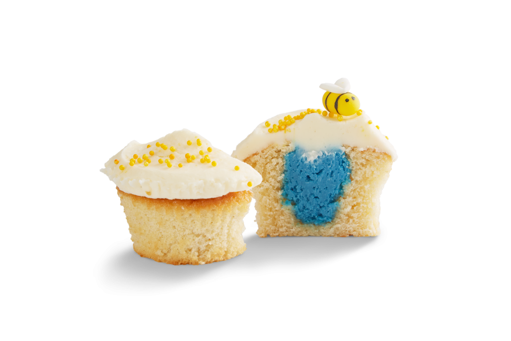 Blue Baby Bee Reveal Cupcake Selection Box